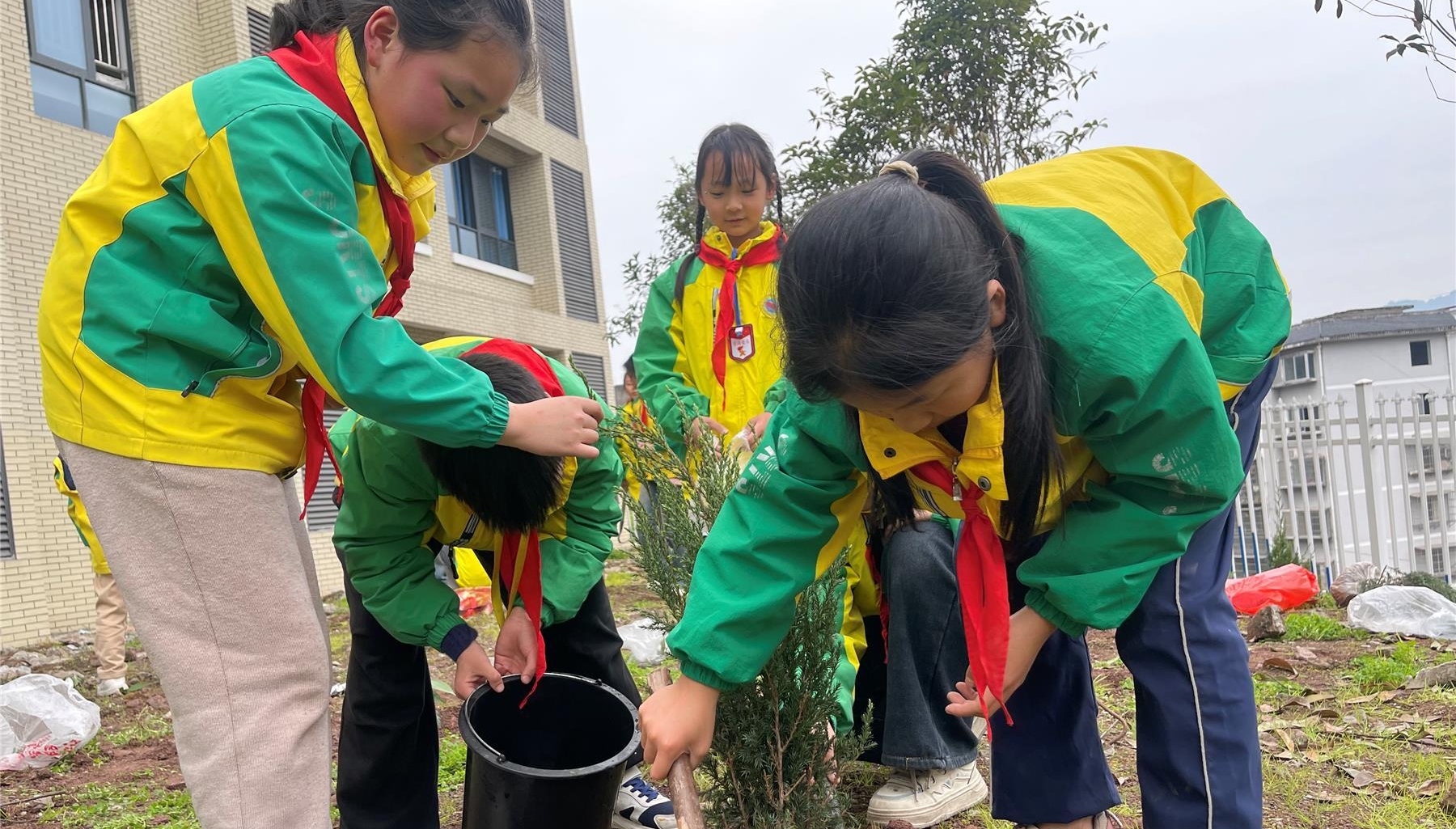  高陽小學(xué)開展植樹節(jié)實踐活動