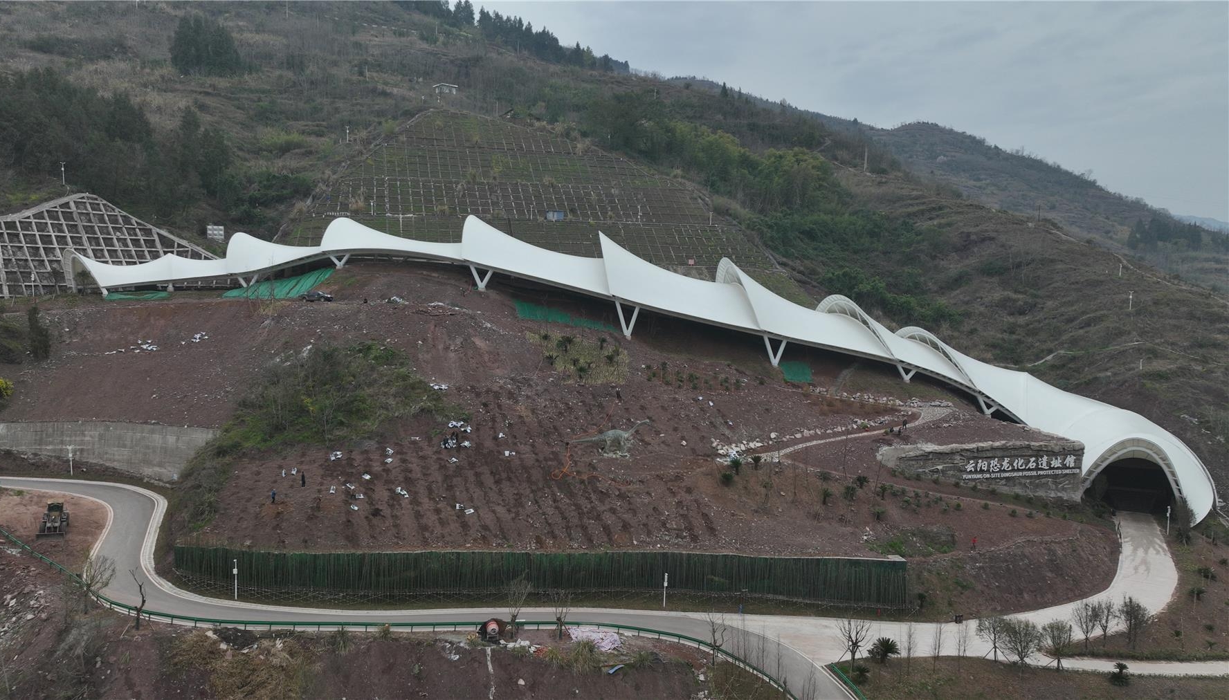  400余株崖柏樹苗“安家”云陽地質(zhì)公園